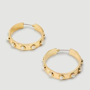 Ann Taylor hoop earrings